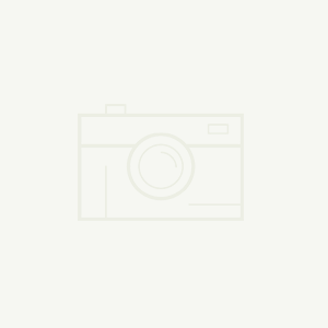 如何處理好項目重大質量問題？